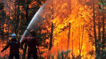 Waldbrandverordnung mit heute in Kraft!