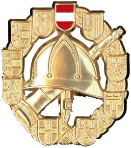 Das Feuerwehrleistungsabzeichen in Gold, ein hart verdientes Stück.
